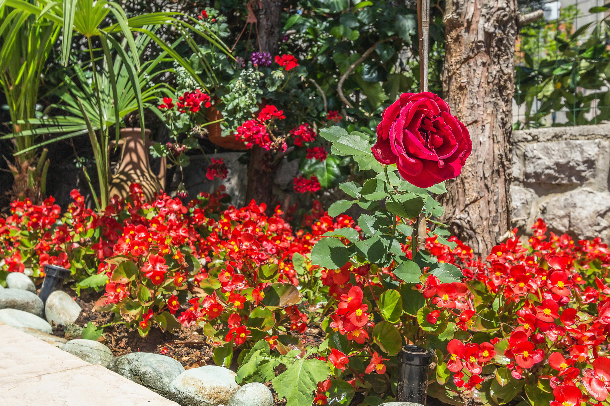 Villa Roses Apartments & Wellness Icici Ngoại thất bức ảnh